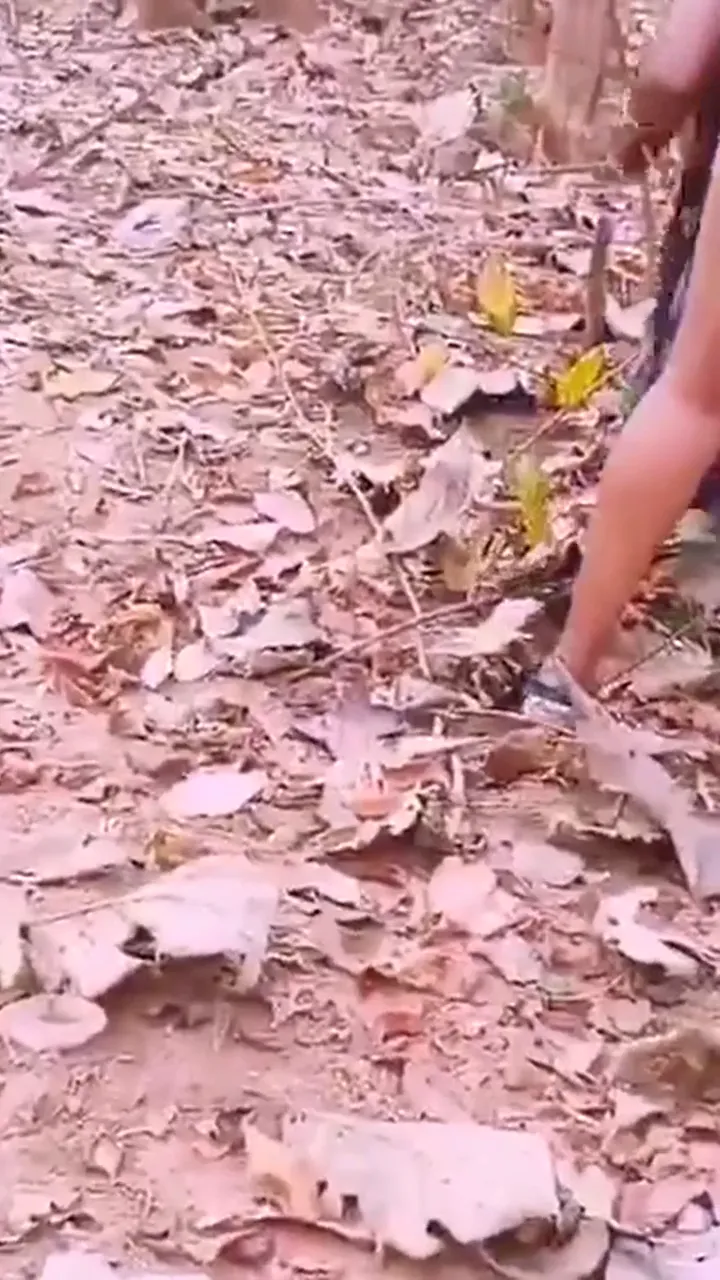 Telugu aunty fucking outdoor (clear telugu audio porn)