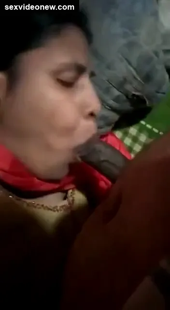 Telugu maid lady blowjob and pussy fucking