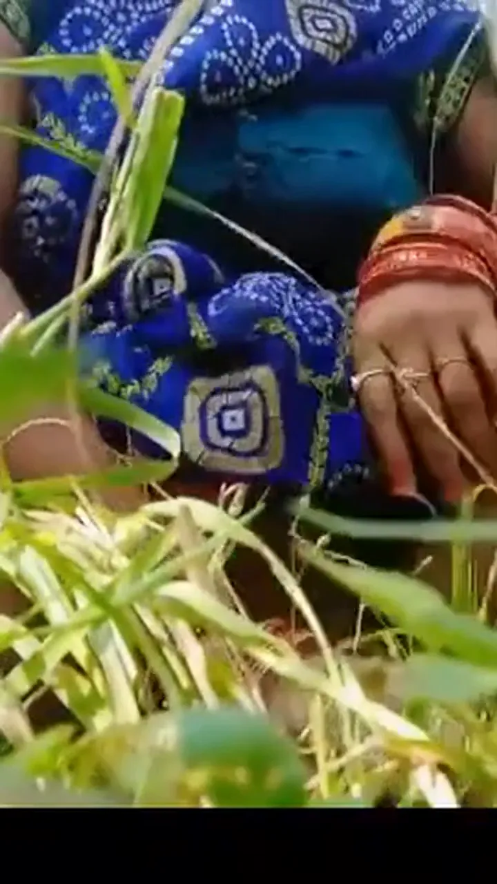 Dehati village aunty showing her nude chut in khet