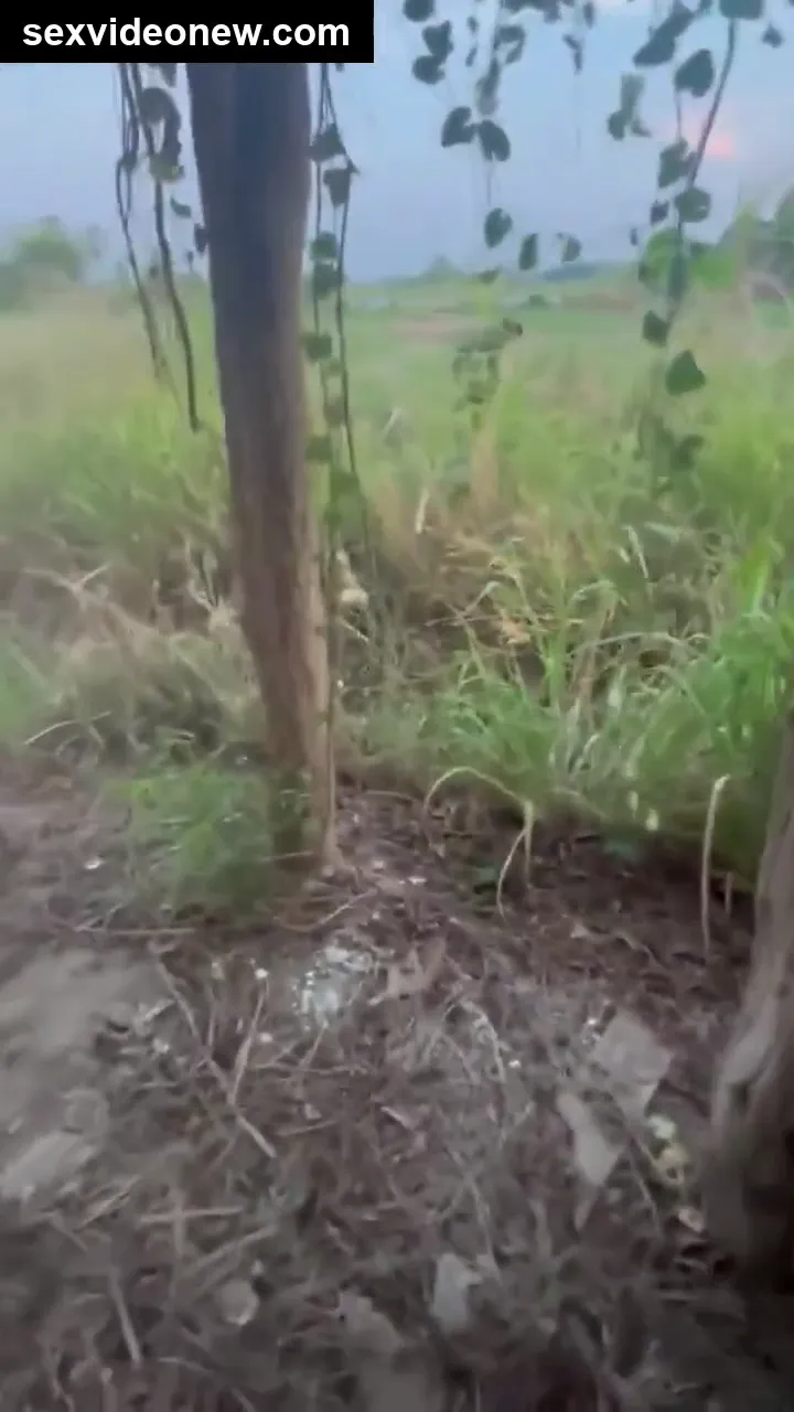 College girl early morning farm sex video