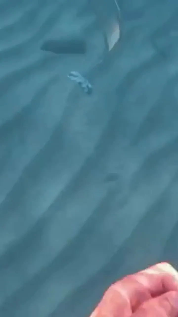 Anywaybrittnaay – Underwater Sex Tape