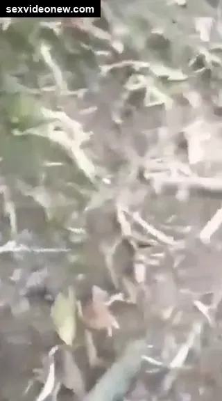 Telugu aunty caught fucking in the jungle