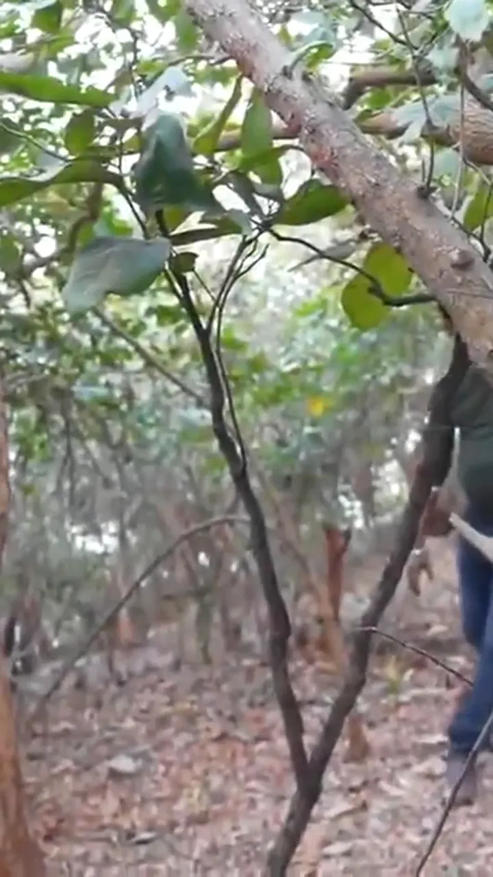 Tanker boobs telugu bhabhi jungle porn movie