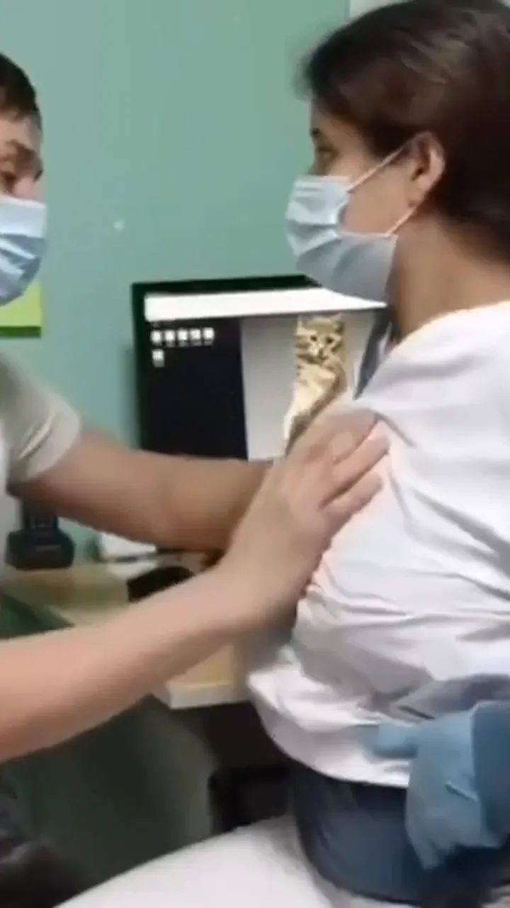 Real Telugu nurse hospital sex viral