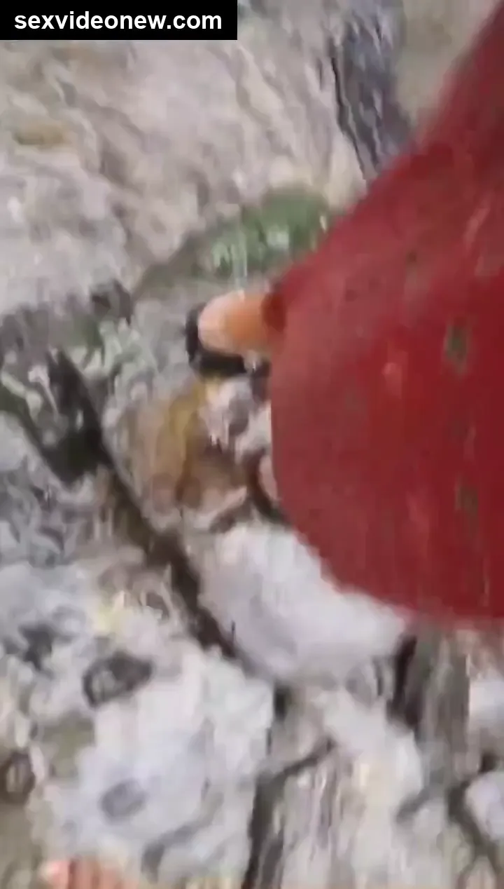 Telugu aunty outdoor bath and doggy shot video